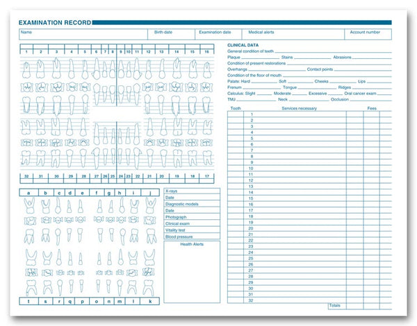 1057 Dental Exam Record Anatomic & Periodontic Diagrams 11 x 8 1/2" QTY 250